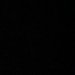 Meet your Posher, Paige